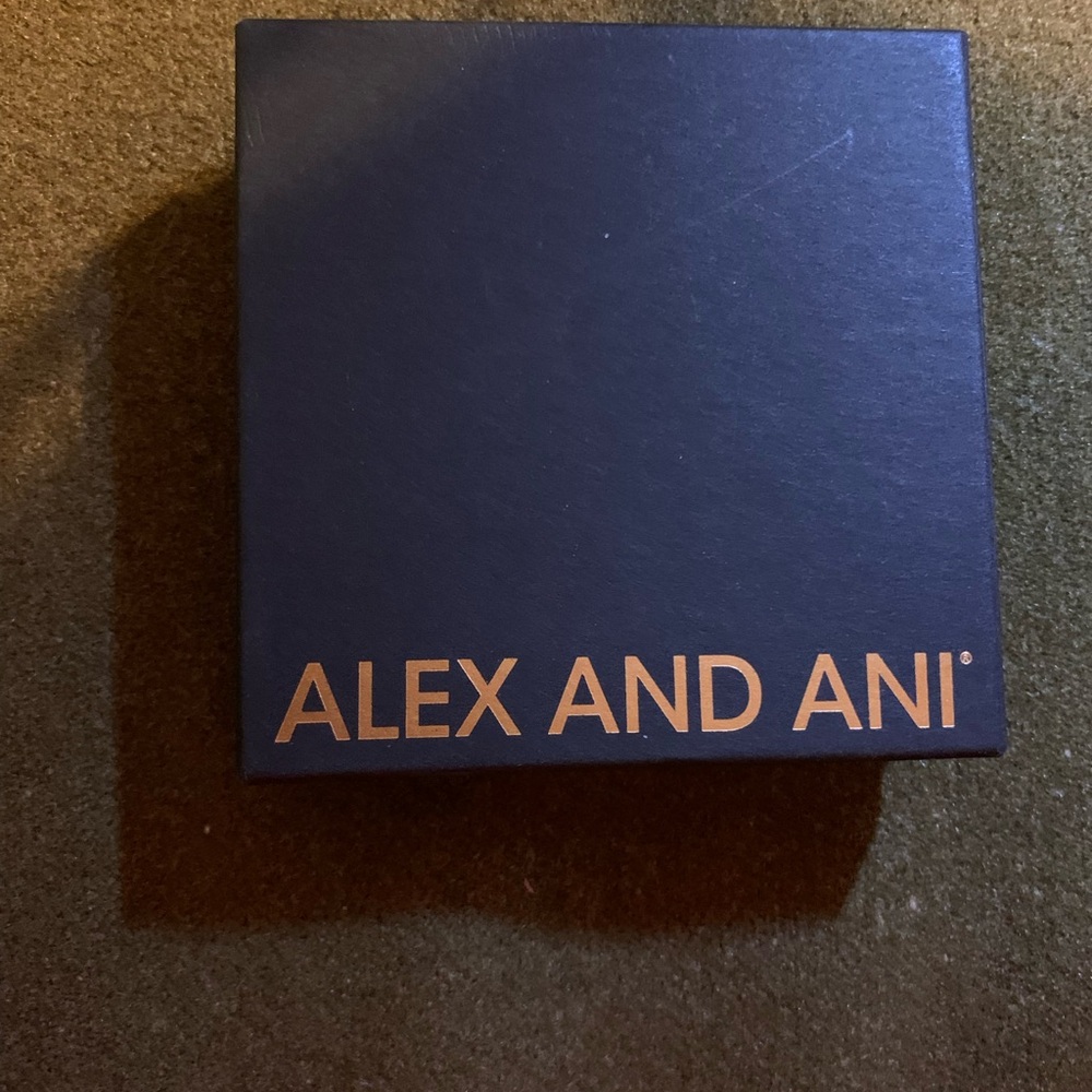 Alex and Ani Silver Alaska Whale Charm Bracelet - Picture 3 of 4